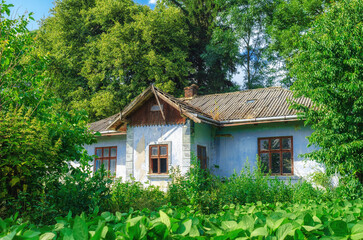 Old house with damaged tiled roof among tall green trees. Wooden windows with broken glass. Weedy yard.