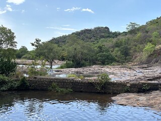 Fototapeta premium river in the forest