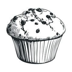 Detailed black and white muffin sketch with chocolate chips