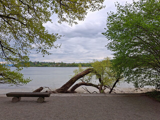 idyllic and silent lake view on a cloudy day