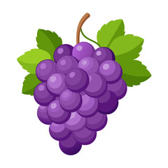Fresh Grapes Isolated on White Background with Clipping Path