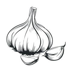Black and white garlic illustration with whole bulb and cloves