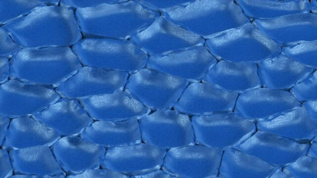 Rubber Bubbles
This stock motion graphics video shows inflating and deflating rubber bubbles.
