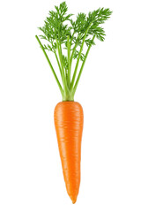 A single, fresh, vibrant orange carrot with vivid green leafy tops, clean and detailed, subtly floating in mid-air against a pristine bright white background with ample copy space, no shadows,