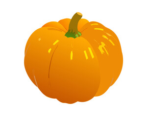 pumpkin isolated on white