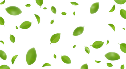 Scattered green leaves, nature and organic theme isolated on transparent background