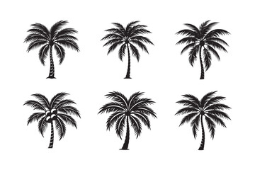silhouette beach palm tree bundle on the white background 