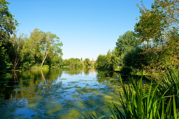 The Cat pond in the marshes of the lower valleys of the Juine and the Essonne river. Vert-le- Petit village 