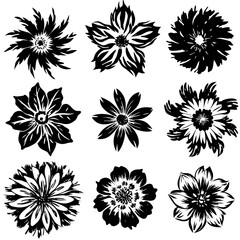 black and white flowers