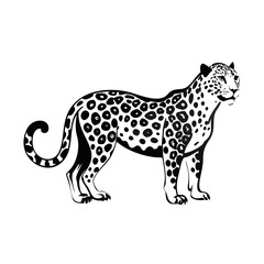 Leopard Vector Silhouette – Elegant Black and White Big Cat Illustration with Detailed Spots, Ideal for Tattoos, Logos, Wildlife Prints, and Jungle Decor
