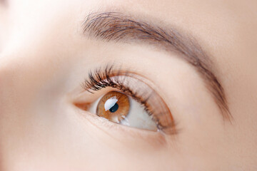 Close-up of eyelash extension procedure on young caucasian female brown eye