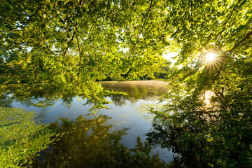 Misery marshes in the lower valleys of the Juine and the Essonne river. Écharcon village