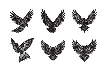 Fototapeta premium silhouette pigeon ,eagles, others birds bundle wing shape on the white background 