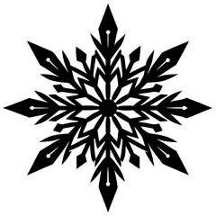 black and white snowflake