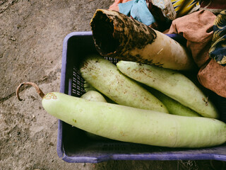 Old Bottle Gourds with Decomposed Gourd in Basket