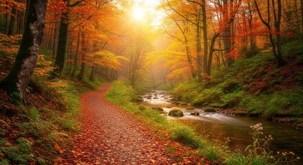 Obraz premium Autumn Path by the Stream - Serene autumn scene of a leaf-strewn path winding alongside a tranquil stream in a colorful forest. Golden sunlight filters through the trees