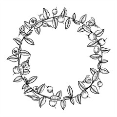 Hand drawn monochrome vector cranberry wreath painted by black inks. Floral round frame with empty space for text. Etching drawing of wild berries for wedding invitation, holiday card, product label