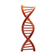 dna strand transparent background png