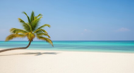 Serene Tropical Beach Escape - Tranquil beach scene, palm tree leaning over white sand, turquoise ocean, sunny sky, perfect relaxation. Symbolizing peace, serenity, escape, paradise, and vacation