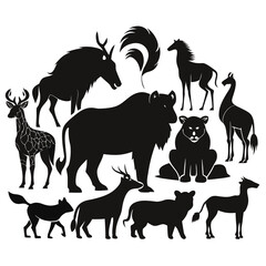 wild animals collection
