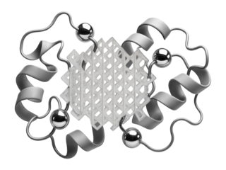 Crystallized phosphatase enzyme with a characteristic beta-sheet core and metal ion coordination