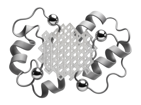 Crystallized phosphatase enzyme with a characteristic beta-sheet core and metal ion coordination