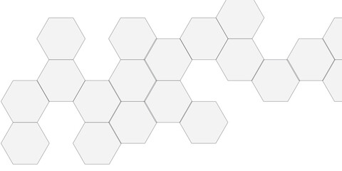 Abstract white and gray hexagon technology lines background. Abstract white and grey color hexagonal geometric background with copy space. Abstract white lines background.	