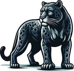 Fototapeta premium A Panther Vector clipart illustration