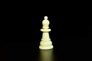 Chess piece officer, white on black background.