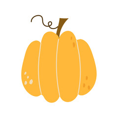 Pumpkin isolated .Autumn vegetable for Halloween Thanksgiving Harves festival. Simple modern doodle icon. Cooking organic healthy ingredient. Vegetarian food. Design element