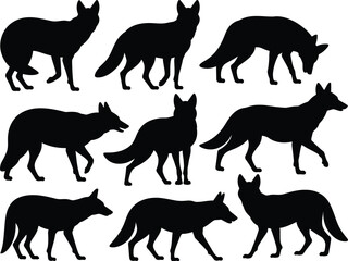 Wild Fox Silhouette Vector illustration Collection in Multiple Standing and Walking Poses