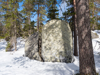 Large boulder and forest on the slope of Mount Vottovaara - sights of Karelia in northwestern...