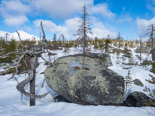 Large boulders and forest on the slope of Mount Vottovaara - sights of Karelia in northwestern...