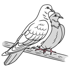 Two doves perched on a branch birds white