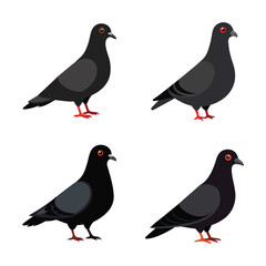 Vector art illustration of a set of pigeon birds