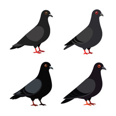 Vector art illustration of a set of pigeon birds