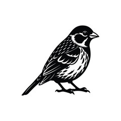 A silhouette sparrow vector art illustration
