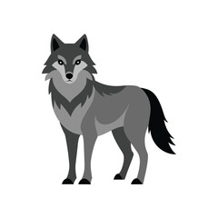 Wild wolf vector art illustration