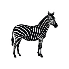 zebra vector silhouette art illustration