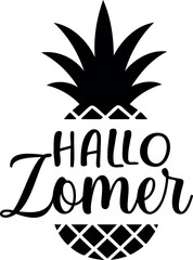 Hallo Zomer. Summer vector lettering. Dutch text: Hello Summer.