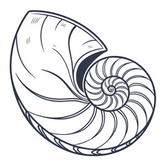 Obraz premium Nautilus shell spiral cross section line art marine life mollusk