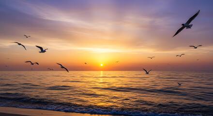 Fototapeta premium Sunset Seagulls Ocean Sunrise