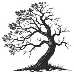 Ancient gnarled tree with detailed branches nature