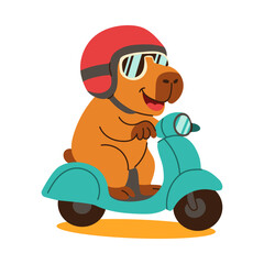 A capybara is riding a scooter with a red helmet on. The dog is smiling and he is enjoying the ride
