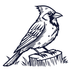 Cardinal perched on a tree stump bird grass