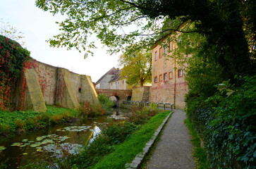 Fototapete bei efototapeten.de bestellen   