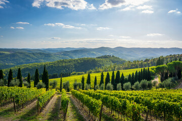 Fototapeta premium Radda in Chianti vineyards and panoramic view. Tuscany, Italy