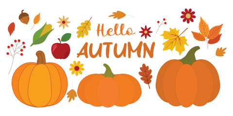 Vector set of autumn elements including pumpkins, fall leaves, apple, flowers, corn, acorn, berry branch, and “Hello autumn” text. Perfect for seasonal designs, cards, and decorations.
