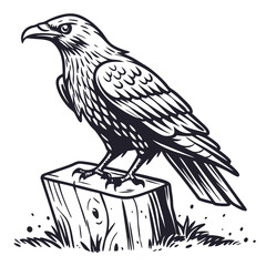 Majestic raven perched on wooden post bird black and white