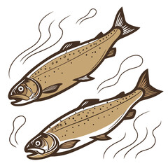 Two brown trout swimming fish aquatic